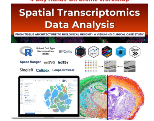 Spatial Transcriptomics Header